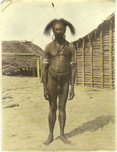 229032 Oudere man van de Marind-anim poseert in een stranddorp
